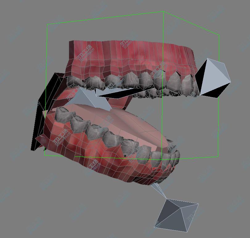 images/goods_img/202105071/Human Teeth/4.jpg